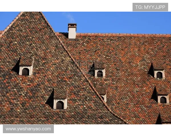 斯特拉斯堡俱乐部的历史传承与现代发展道路探索