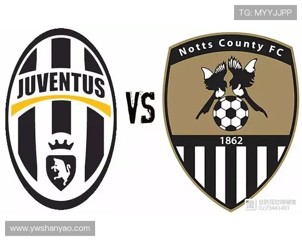 尤文图斯俱乐部历史回顾与未来展望：从辉煌到挑战的跨越之路