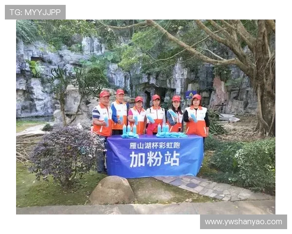 和睦法兰克福俱乐部凝聚城市力量共谱足球荣耀新篇章