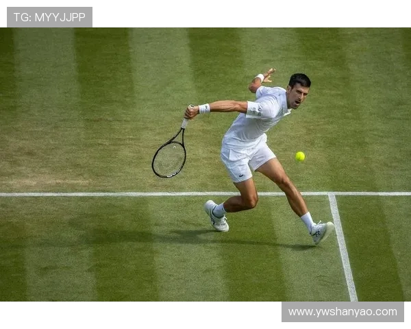 德约科维奇逆转夺冠再创纪录新篇章网坛传奇地位无人能撼 德约科维奇逆转夺冠再创纪录新篇章网坛传奇地位无人能撼