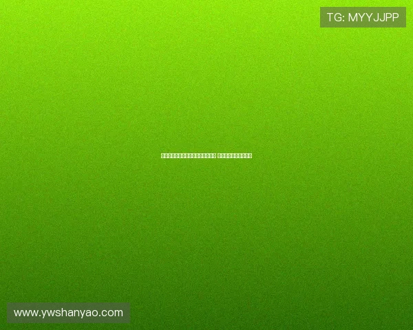 拜耳勒沃库森新赛季阵容调整引关注 目标冲击欧洲赛场资格