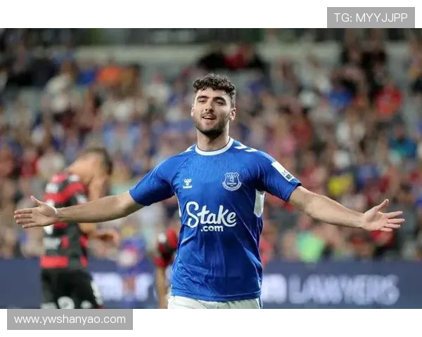 谢菲尔德星期三俱乐部最新动态：新赛季阵容调整及球员伤情更新