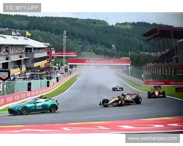 F1赛季新规引发热议 赛车手和车队应对策略大不同