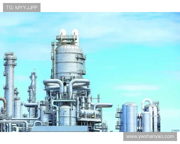 围绕罗马俱乐部揭示全球发展危机与未来变革方向的深度研究主题探讨 围绕罗马俱乐部揭示全球发展危机与未来变革方向的深度研究主题探讨